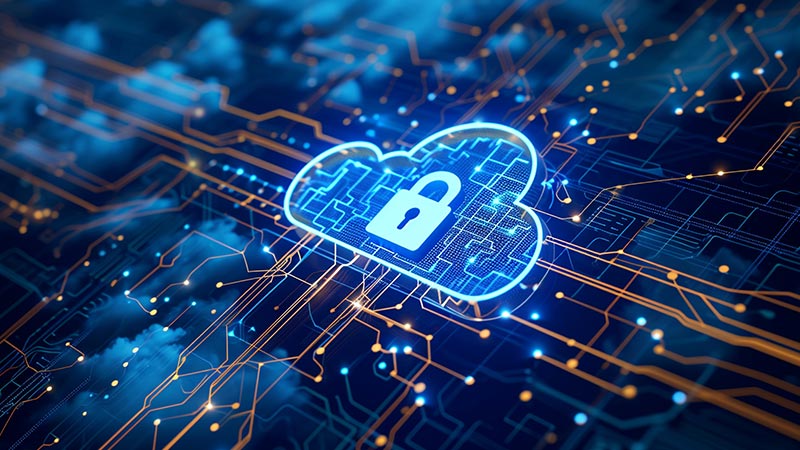 Security Assessment Suite