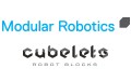 Modular Robotics