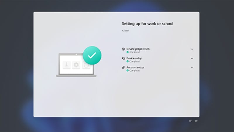 Windows Means IT Efficiency